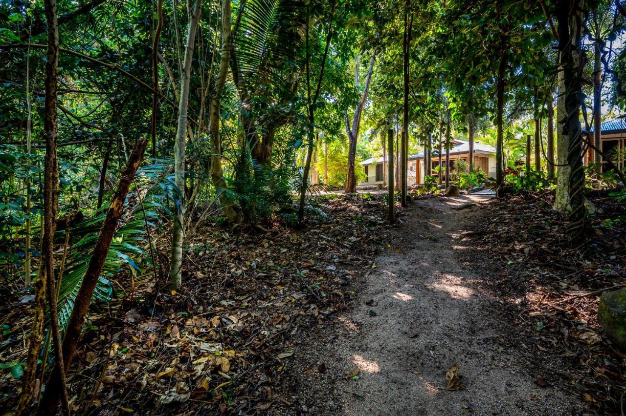 Eco Village Mission Beach Extérieur photo