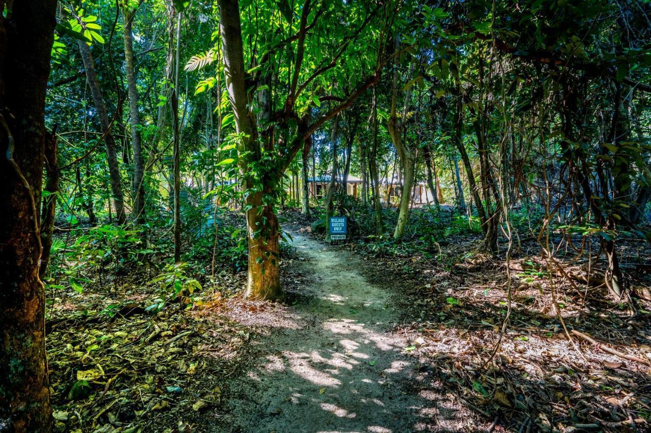 Eco Village Mission Beach Extérieur photo